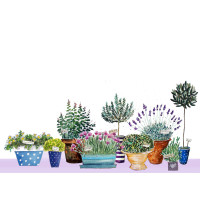 NC02 Herb Garden Notecards (Pk 8)