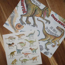 CGW013 Dinosaurs Card & Gift Wrap Set